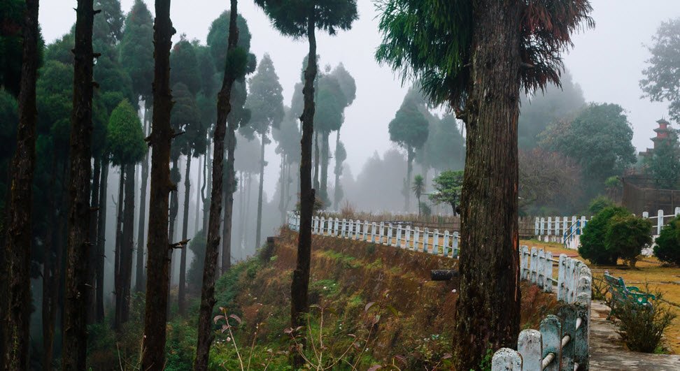Jore Pokhri Wildlife Sanctuary, Darjeeling, West Bengal - Vushii.com